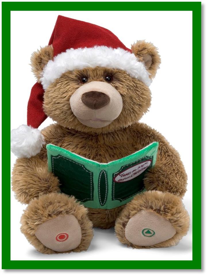 Teddy Bear Book